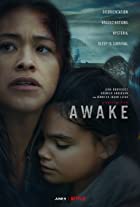 Awake 2021 Hindi Dubbed 480p 720p FilmyMeet