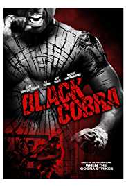 Black Cobra 2012 Dual Audio Hindi 480p 300MB FilmyMeet