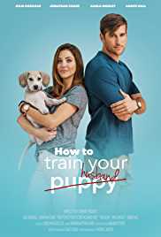 How To Train Your Husband 2017 Hindi Dubbed FilmyMeet
