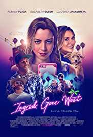Ingrid Goes West 2017 Dual Audio Hindi 480p 300MB FilmyMeet