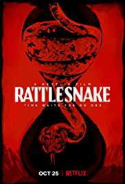 Rattlesnake 2019 Dual Audio Hindi 480p 300MB FilmyMeet