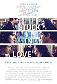Stuck In Love 2012 Dual Audio Hindi 480p 300MB FilmyMeet