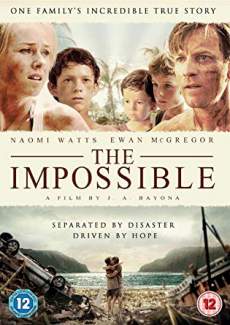 The Impossible 2012 Dual Audio Hindi 480p 300MB FilmyMeet