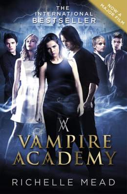 Vampire Academy 2014 Dual Audio Hindi 480p 300MB FilmyMeet