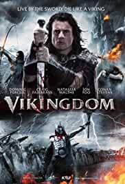 Vikingdom 2013 Hindi Dubbed 480p FilmyMeet