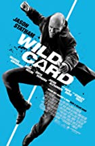 Wild Card 2015 Hindi Dubbed 480p 720p FilmyMeet